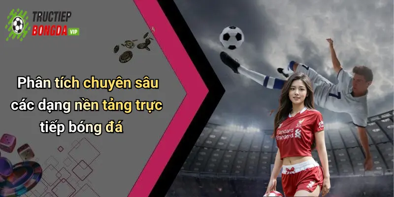 Phân tích chuyên sâu các dạng nền tảng trực tiếp bóng đá