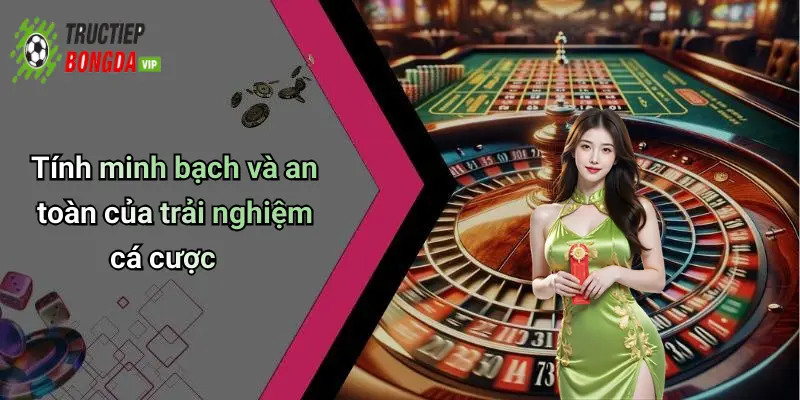 Tính minh bạch và an toàn của trải nghiệm cá cược