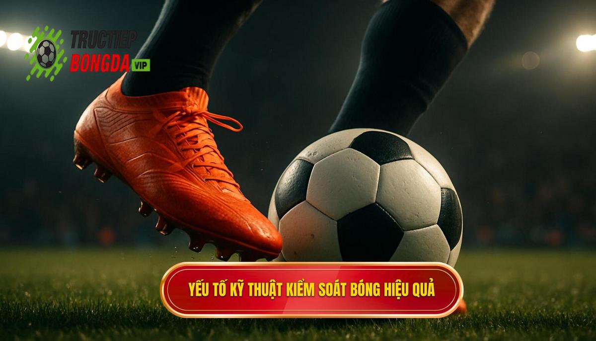 Các yếu tố cấu thành Kỹ thuật kiểm soát bóng trong không gian hẹp
