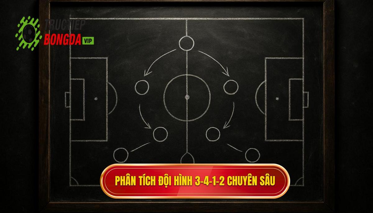 Phân Tích Chuyên Sâu Các Tuyến Trong Đội Hình 3-4-1-2