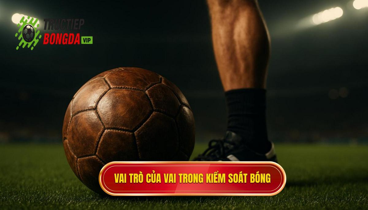 Vai trò của vai trong nghệ thuật kiểm soát bóng