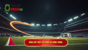 Đẳng cấp TRỰC TIẾP BÓNG ĐÁ chính thống.