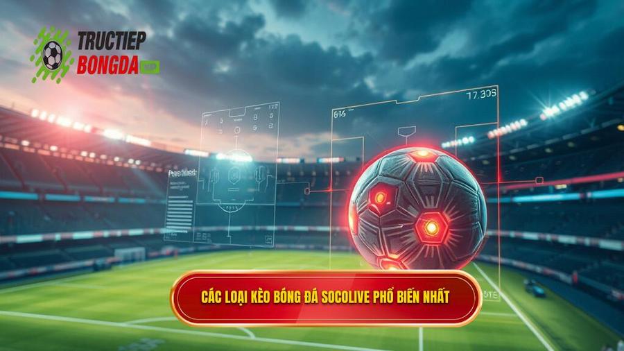 2. Các loại kèo bóng đá Socolive phổ biến nhất hiện nay