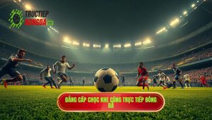 Đẳng cấp chọc khe cùng TRỰC TIẾP BÓNG ĐÁ