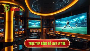 Trực tiếp bóng đá live uy tín